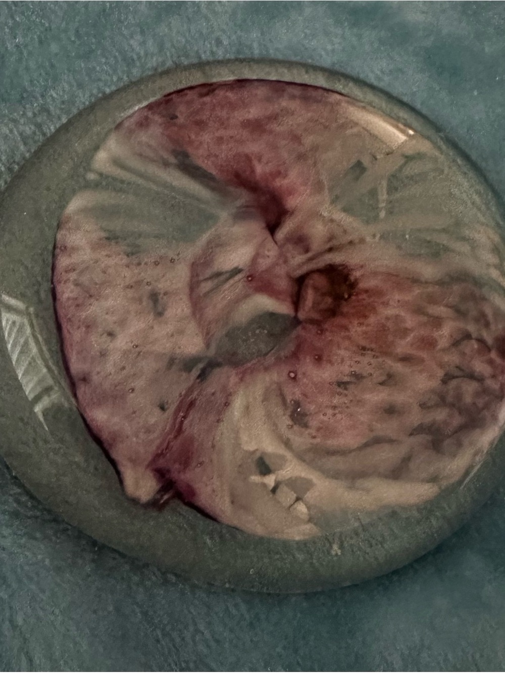 Beautiful Pink & White Paperweight